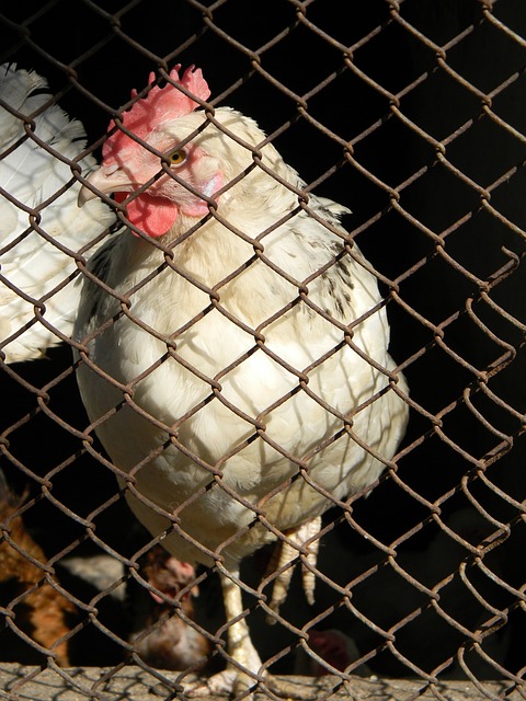 场上的表现 场上的表现