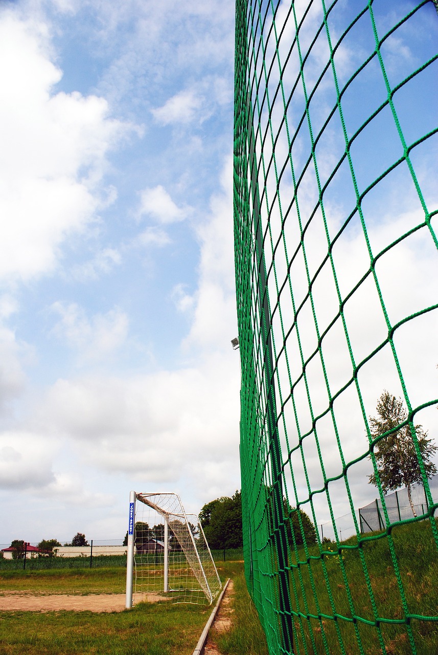 但每一个都 但每一个都